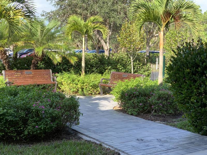 view of the tribute garden with palm trees, benches and brick paved path