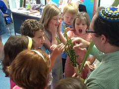 Rabbi Miller showing students the leaves on a lulav
