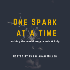 Banner Image for One Spark at a Time with Rabbi Miller